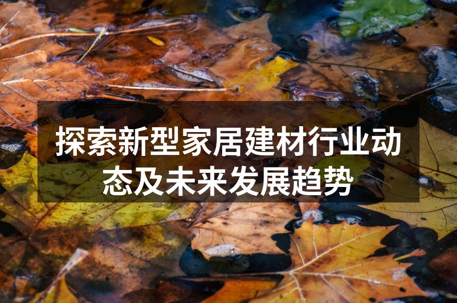 探索新型家居建材行业动态及未来发展趋势