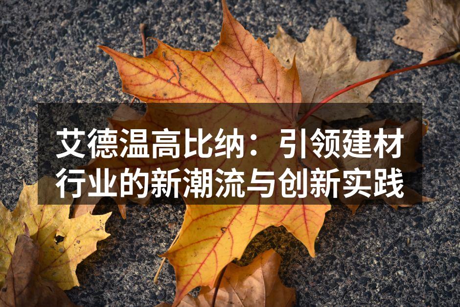 艾德温高比纳：引领建材行业的新潮流与创新实践